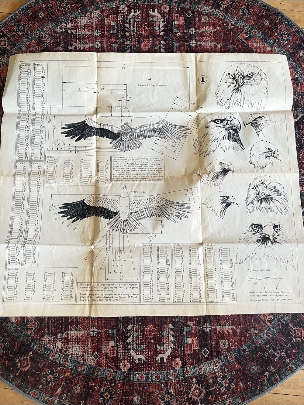 1982 Denny Roger’s Eagle Illustration Blueprint Art Print 31x28